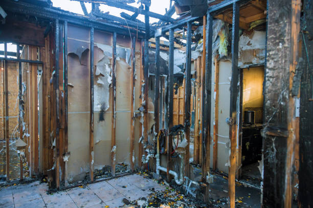 Professional Fire Damage Repair technician working in Folcroft, PA